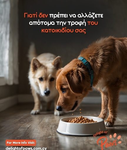 Δύο σκύλοι δίπλα σε μπολ τροφής — σταδιακή αλλαγή διατροφής.