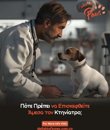 Κτηνίατρος εξετάζει σκύλο με στηθοσκόπιο.