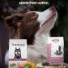 Dog with Amanova and ARION salmon-based food for skin and coat care.