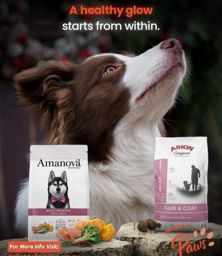 Dog with Amanova and ARION salmon-based food for skin and coat care.