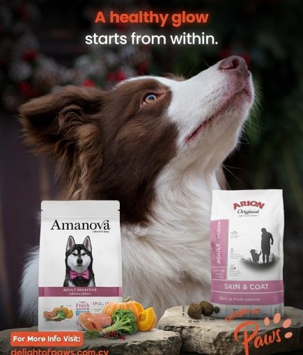 Dog with Amanova and ARION salmon-based food for skin and coat care.