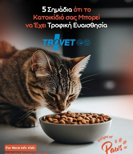 Γάτα τρώει από μπολ — τροφική ευαισθησία και διατροφή TROVET.